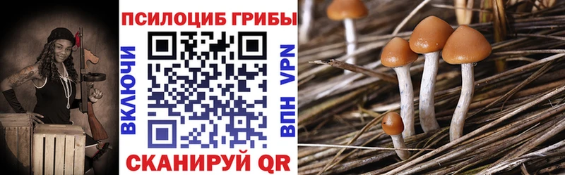 Галлюциногенные грибы Psilocybe  закладки  Болгар 